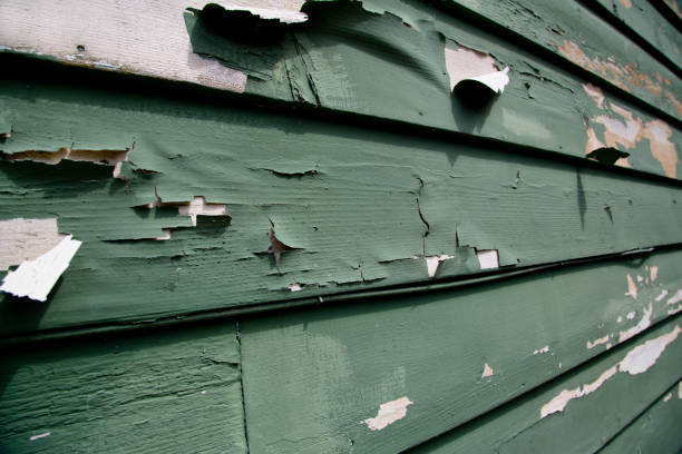 Best Residential Junk Removal  in Hudsonville, MI