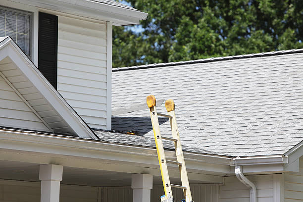 Best Property Management Cleanouts  in Hudsonville, MI